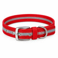 Collar de Nylon Reflectivo Hocitos